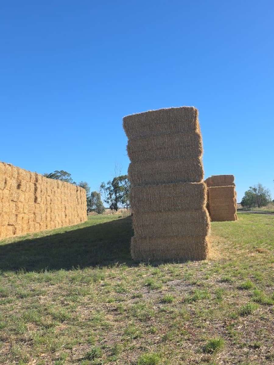 Batch 4990788000207712001 Image