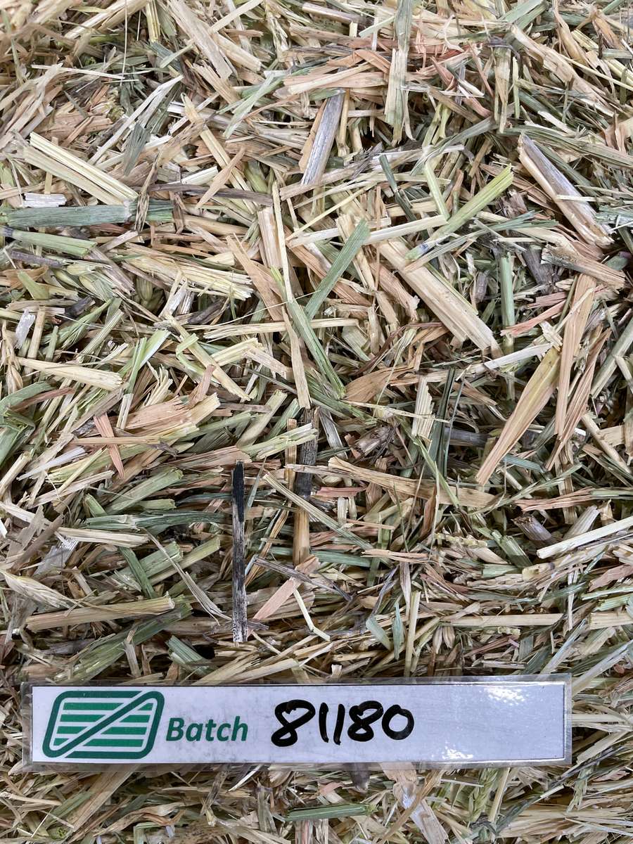 Batch 4990788000204971001 Image