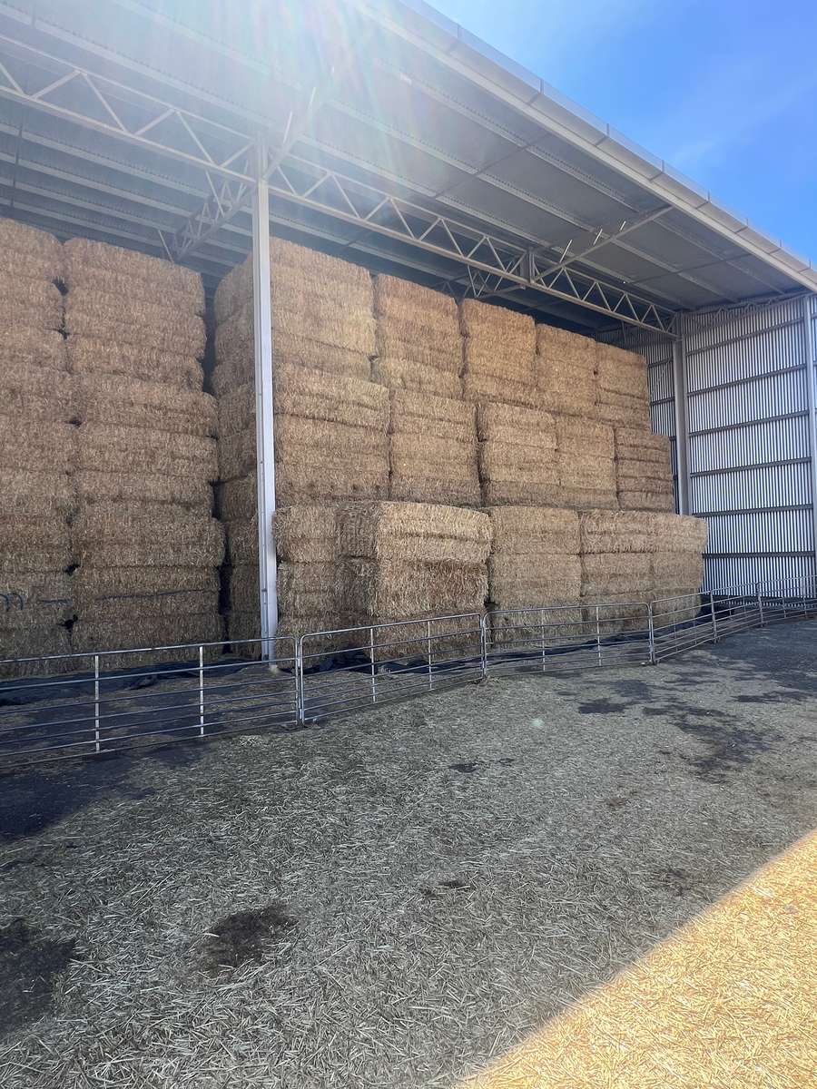 Batch 4990788000207869634 Image