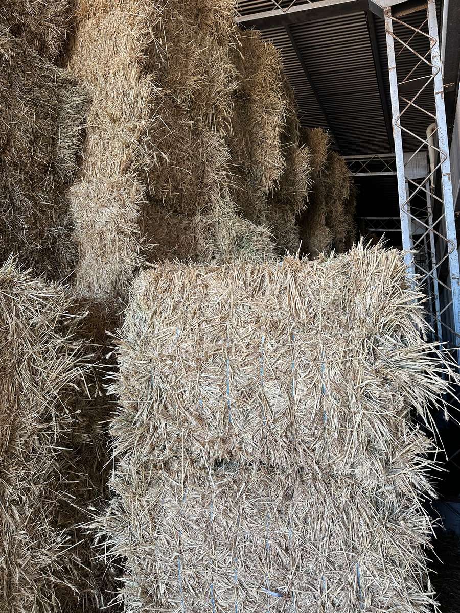 Batch 4990788000207738001 Image