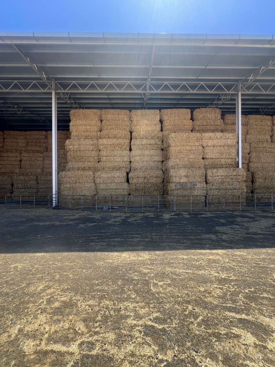 Batch 4990788000207854618 Image