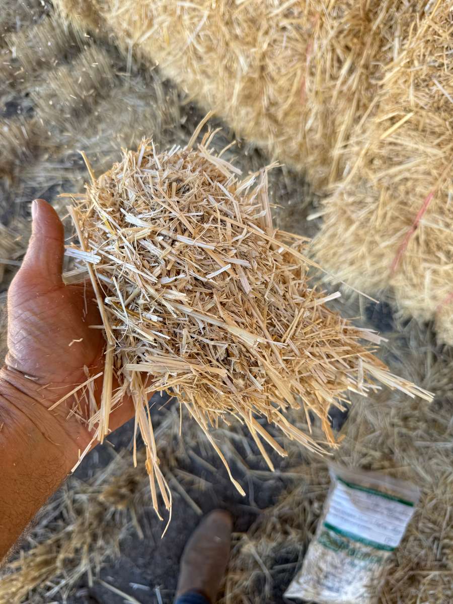 Batch 4990788000207946733 Image