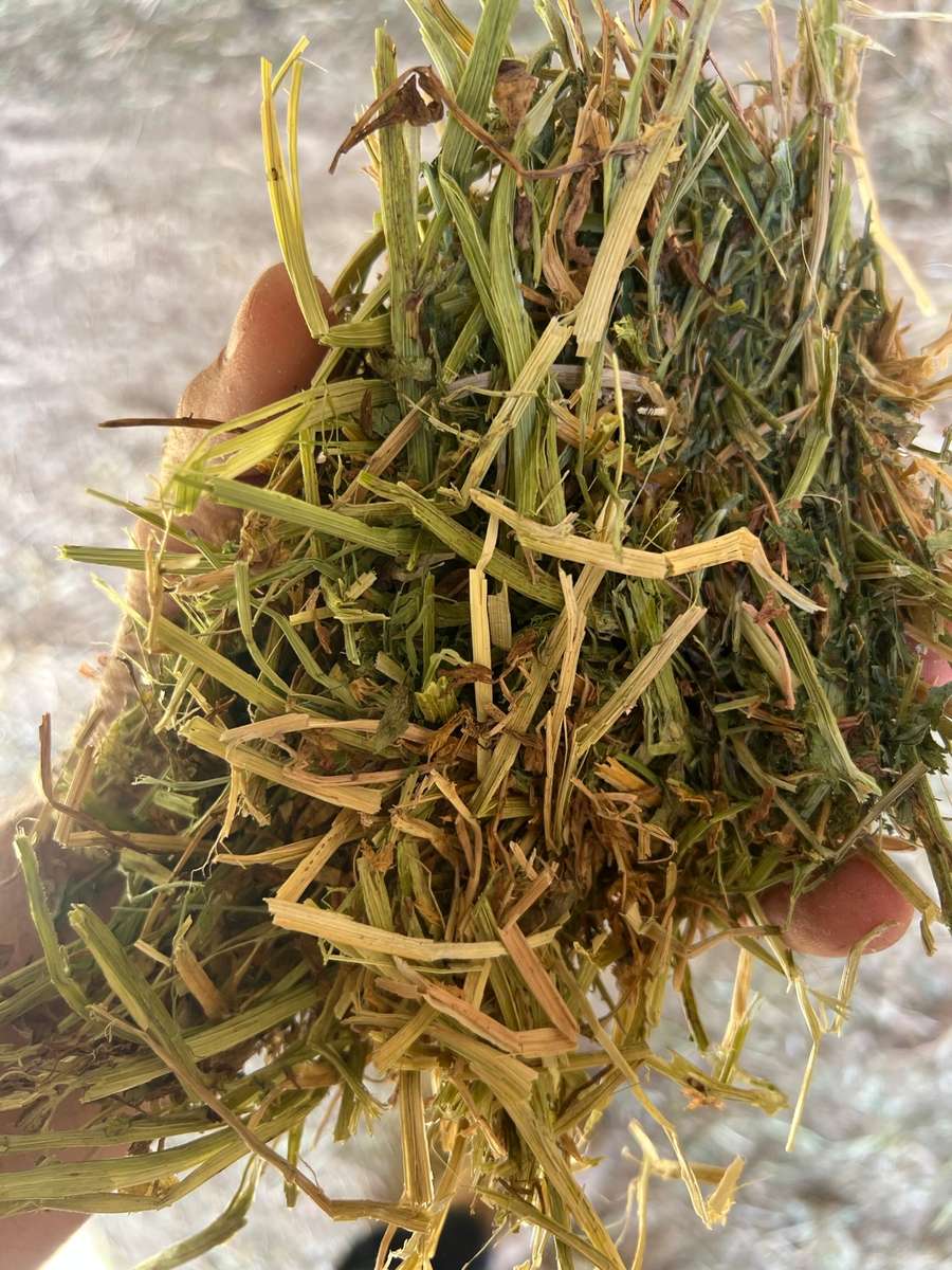 Batch 4990788000204230338 Image