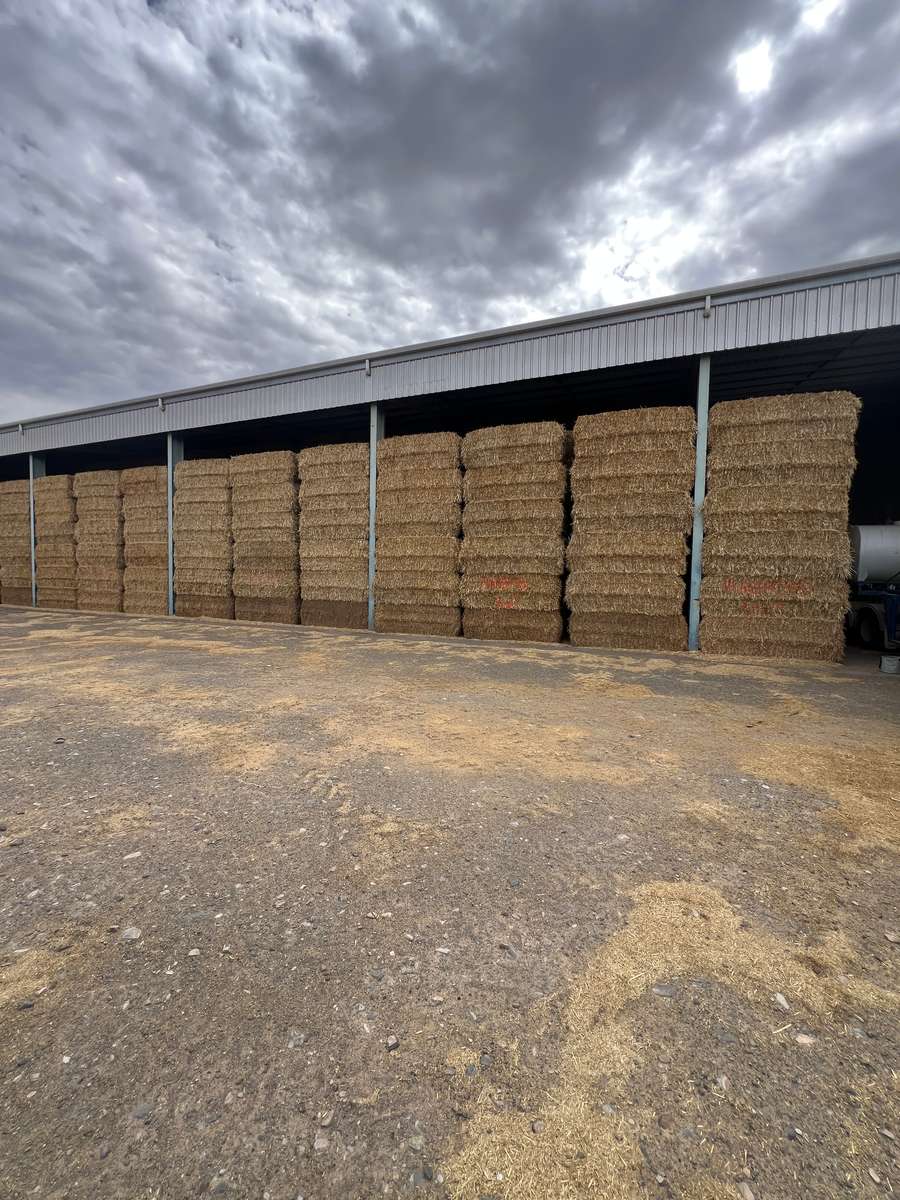 Batch 4990788000207863667 Image