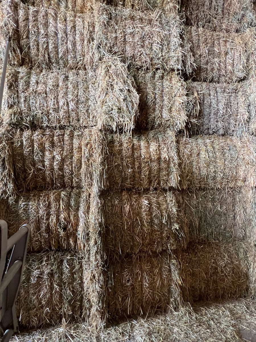 Batch 4990788000207863667 Image