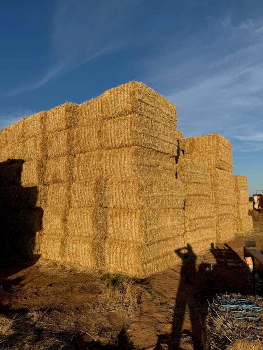 Batch 4990788000207965650 Image