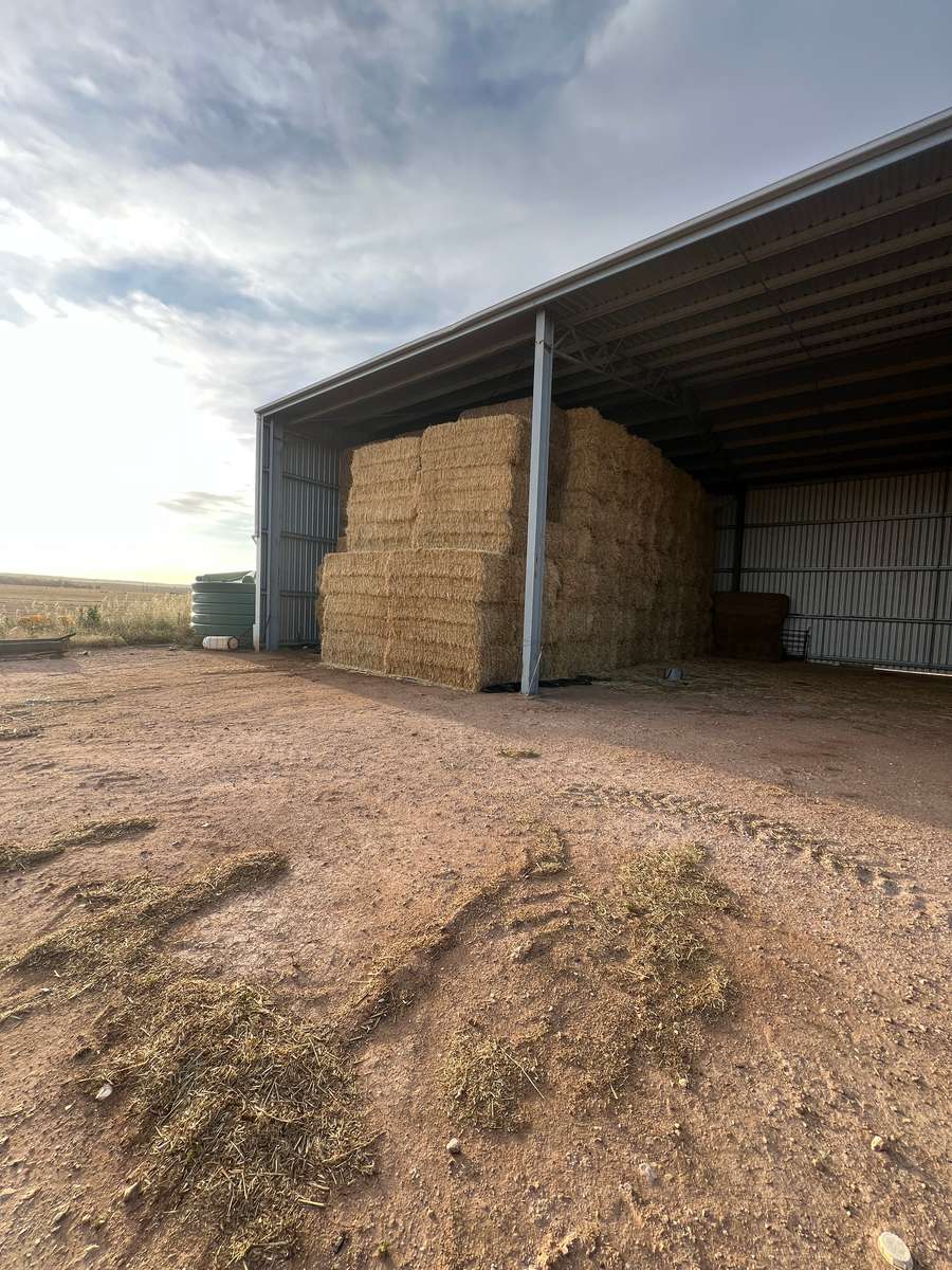 Batch 4990788000207860203 Image