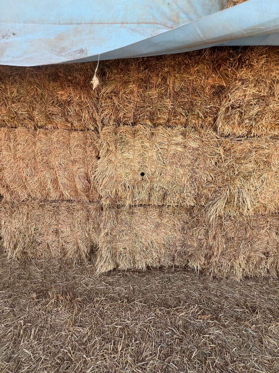 Batch 4990788000204971001 Image