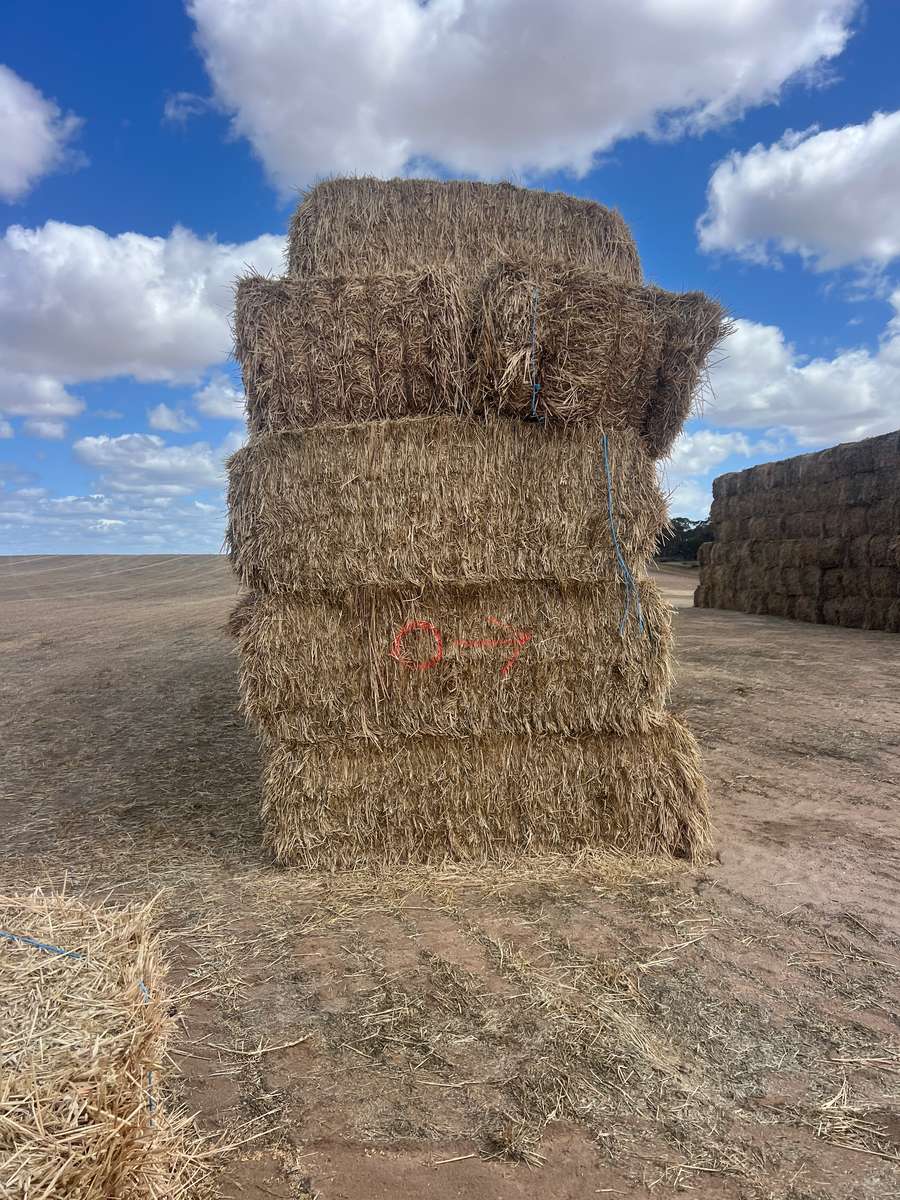 Batch 4990788000207314051 Image