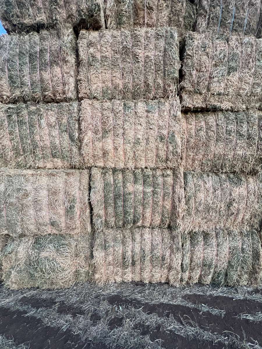 Batch 4990788000204916561 Image