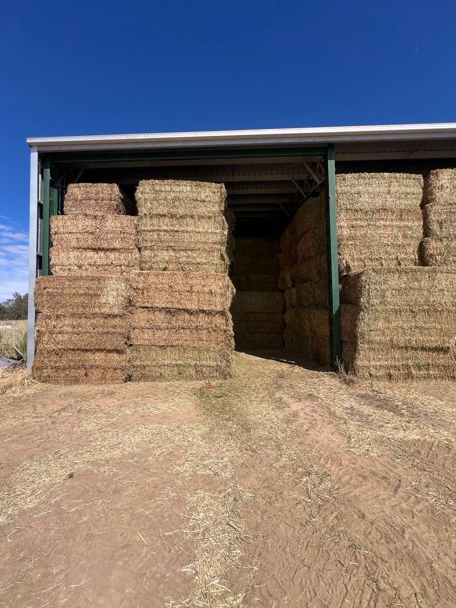 Batch 4990788000204230338 Image