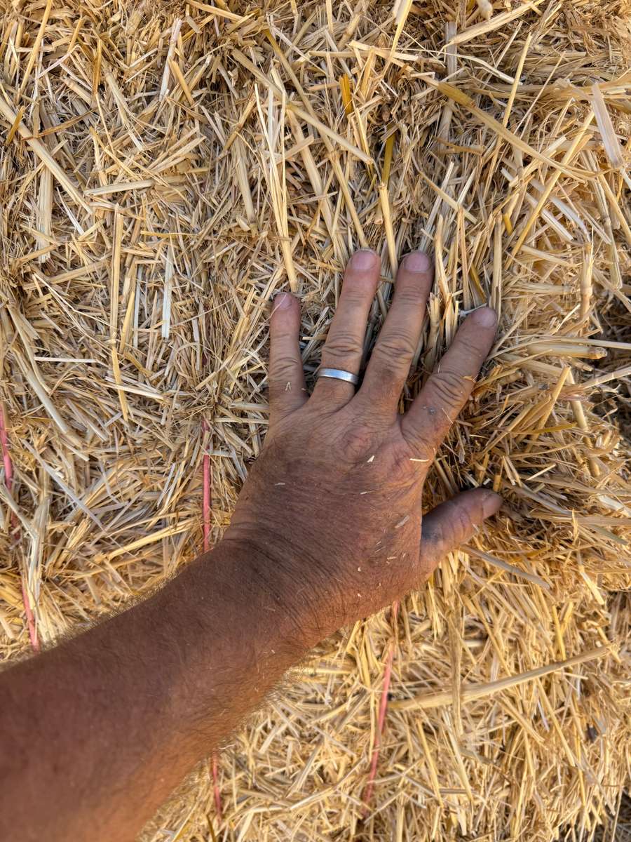 Batch 4990788000207946733 Image