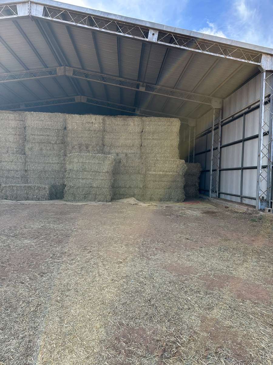 Batch 4990788000207869213 Image