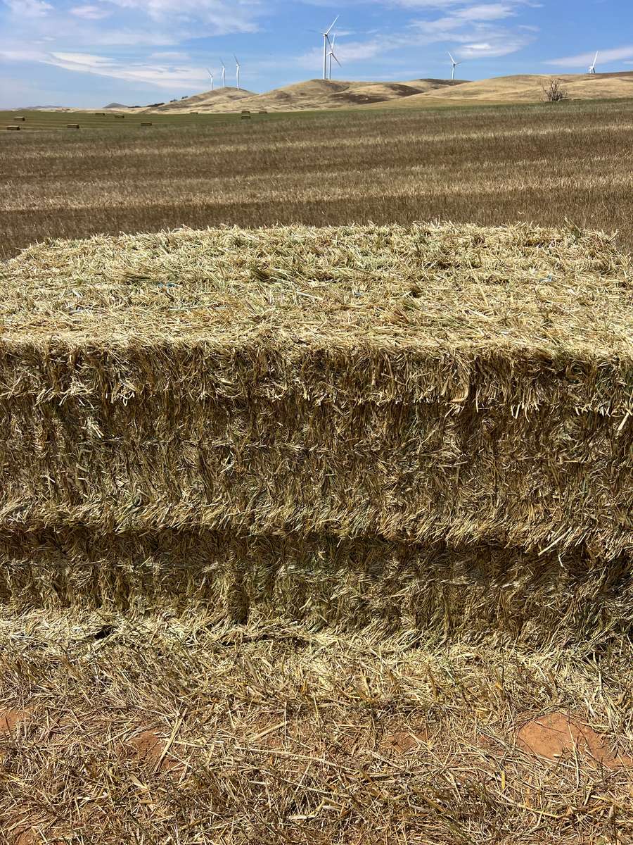 Batch 4990788000207871400 Image