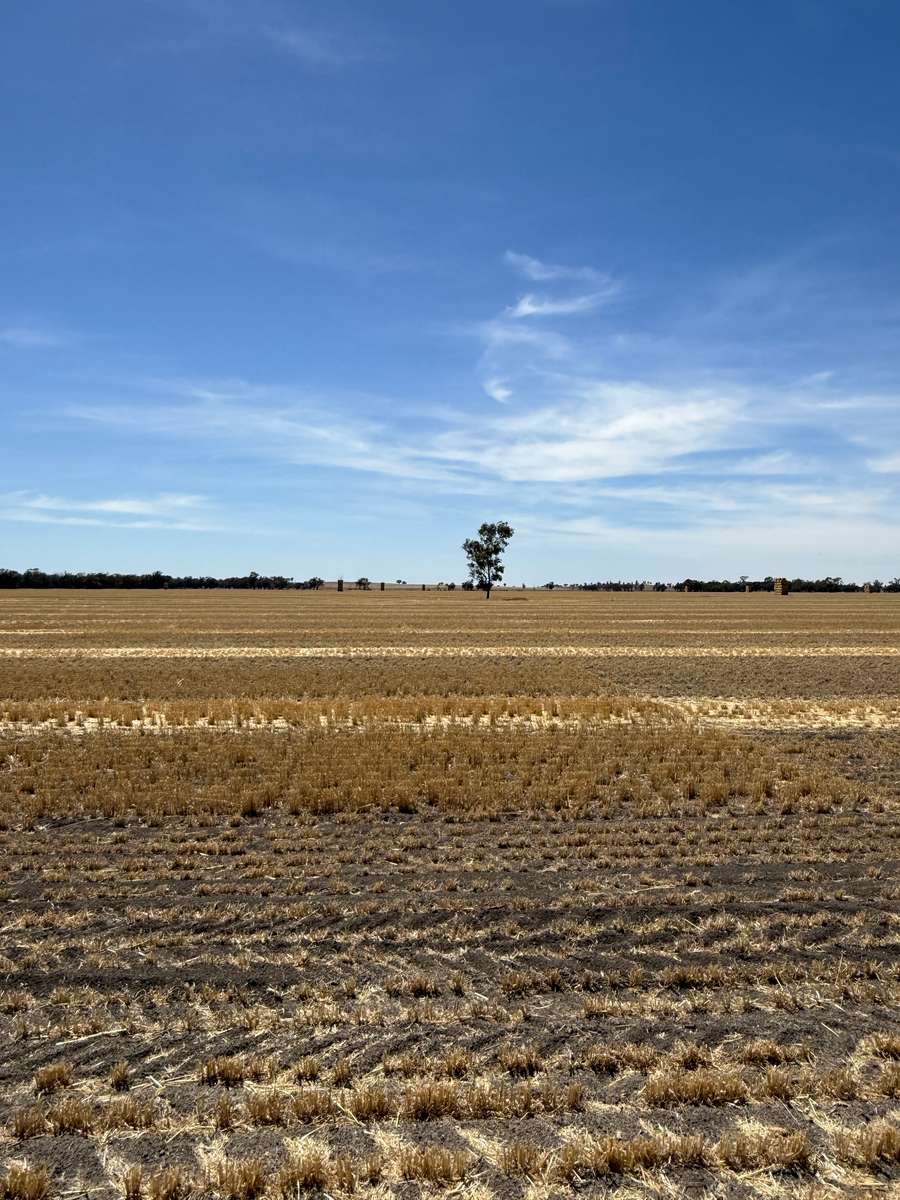 Batch 4990788000207946733 Image