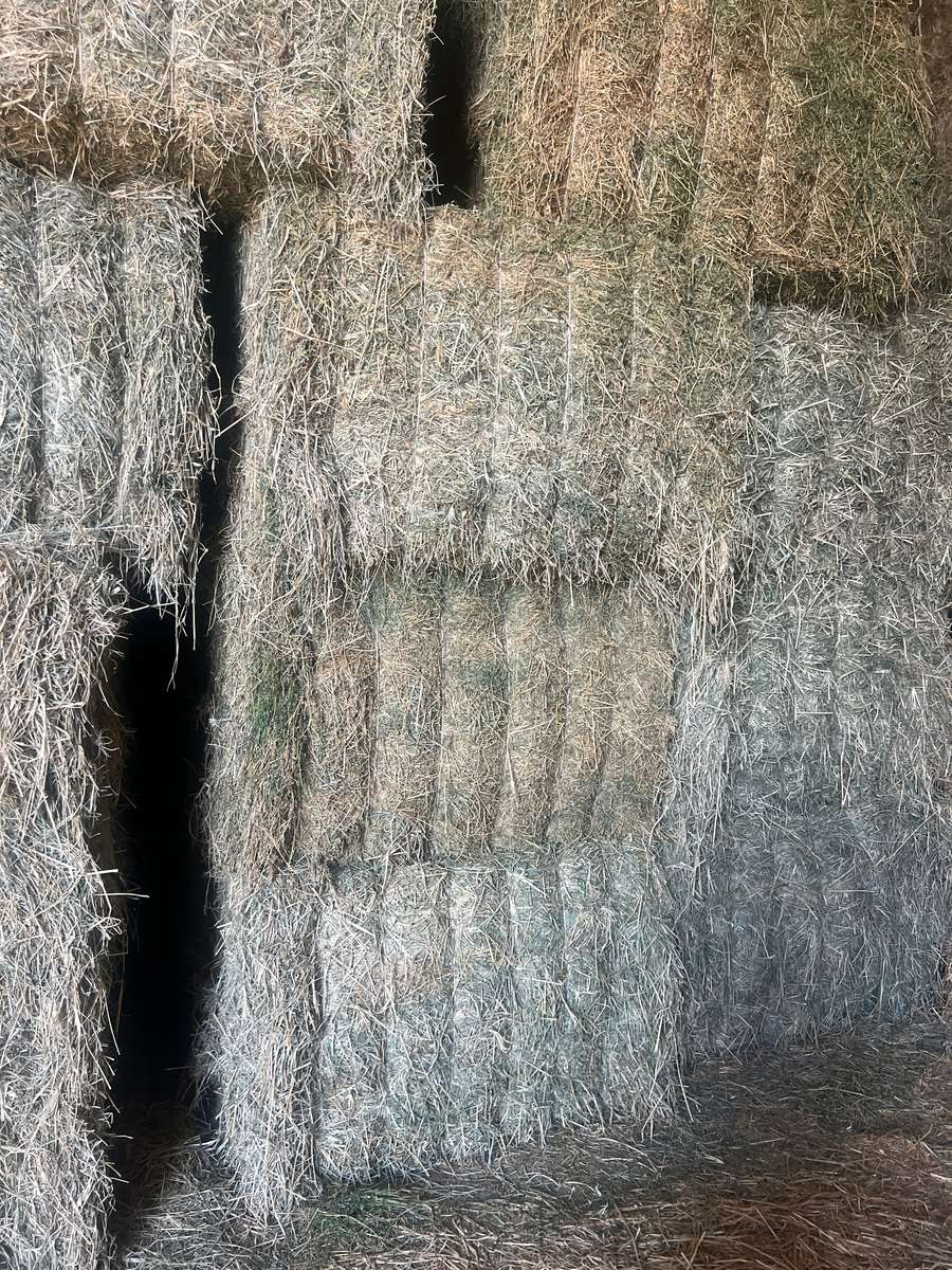 Batch 4990788000208585001 Image