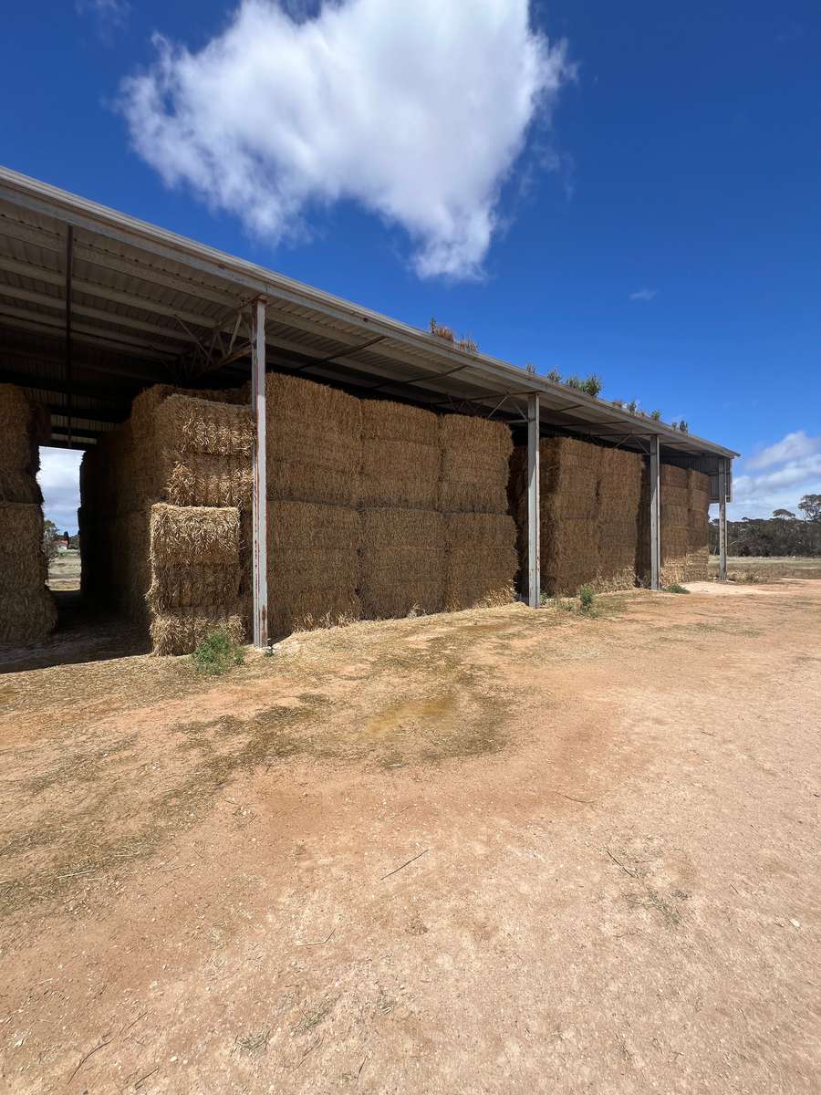 Batch 4990788000207228921 Image