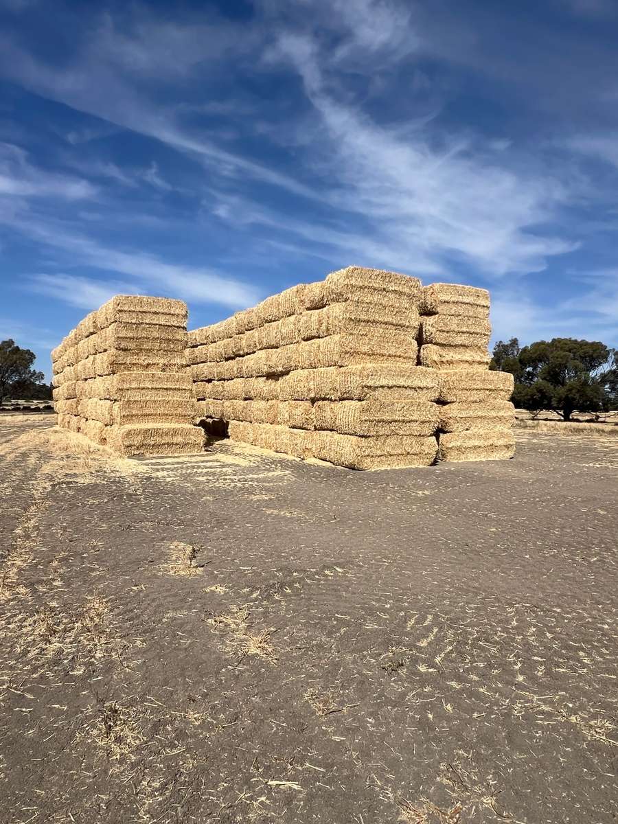 Batch 4990788000209012001 Image