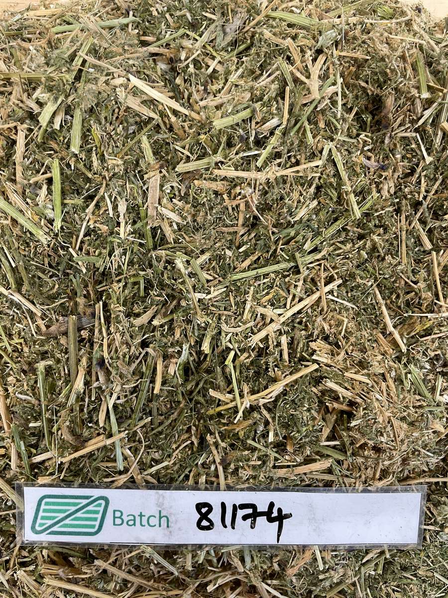 Batch 4990788000204916561 Image