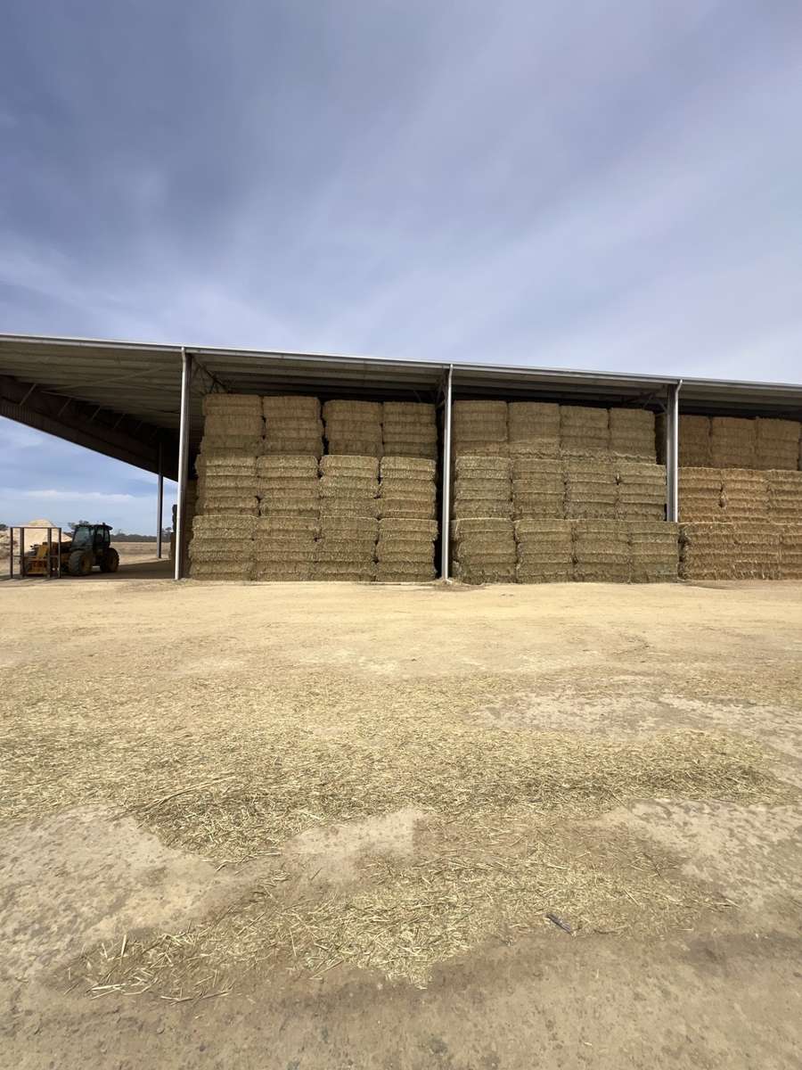 Batch 4990788000202540093 Image