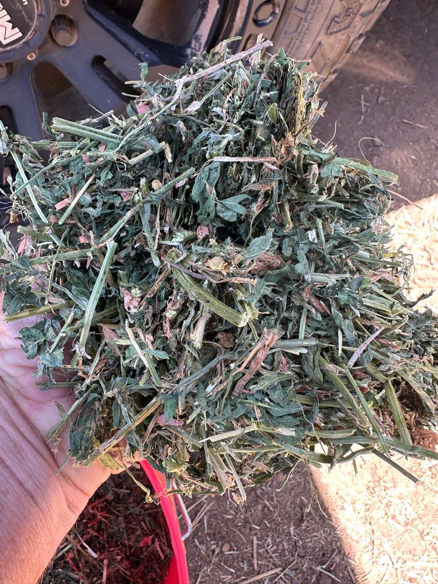 Batch 4990788000205179713 Image