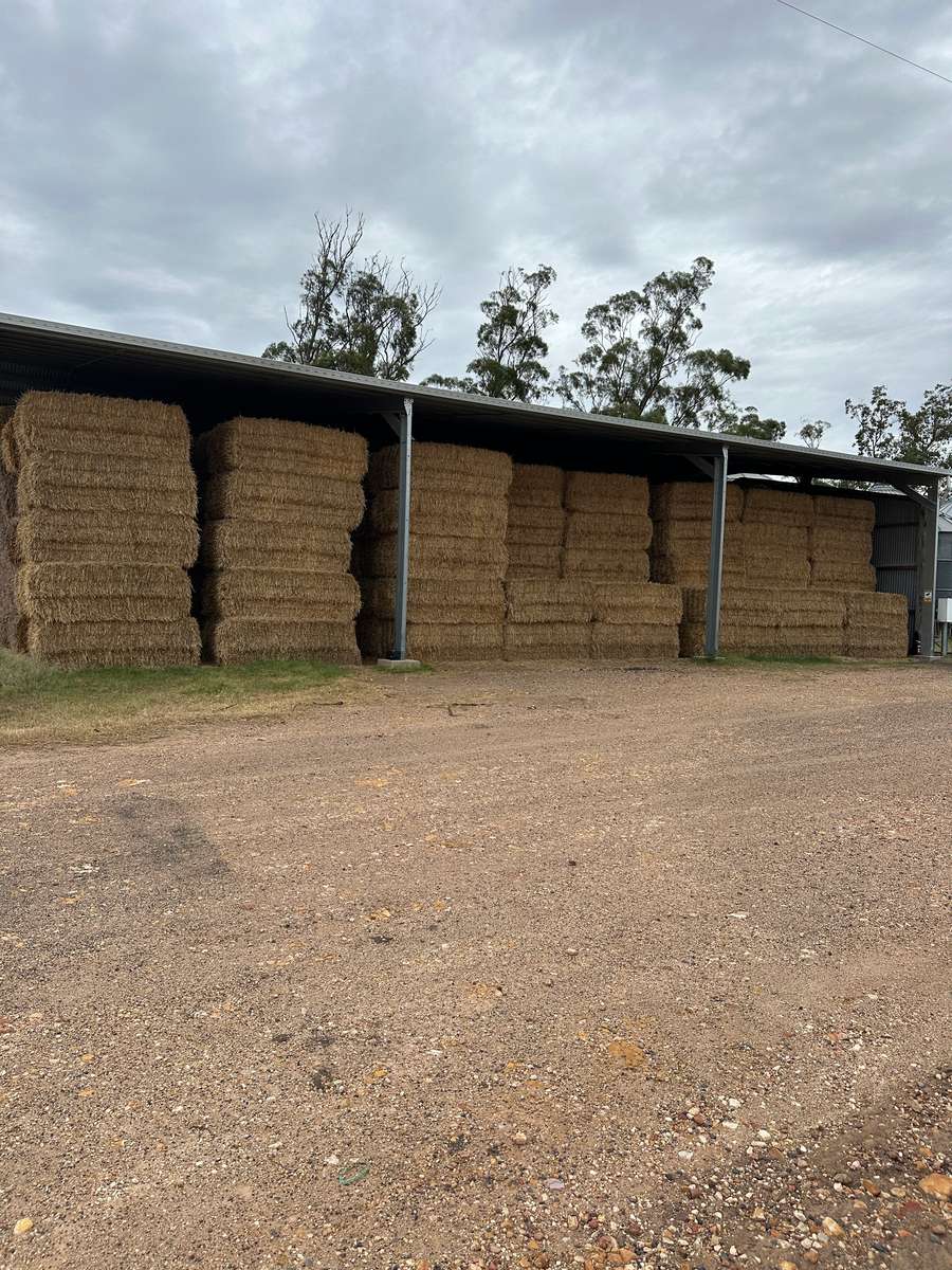 Batch 4990788000208855001 Image