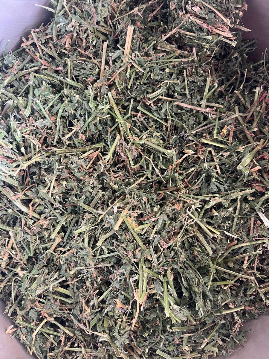 Batch 4990788000205552048 Image