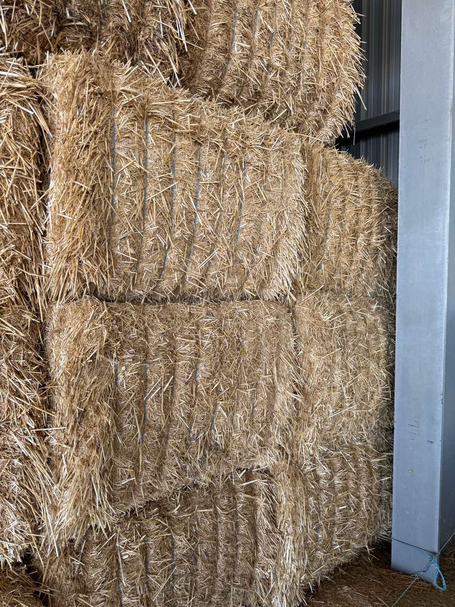 Batch 4990788000207866417 Image