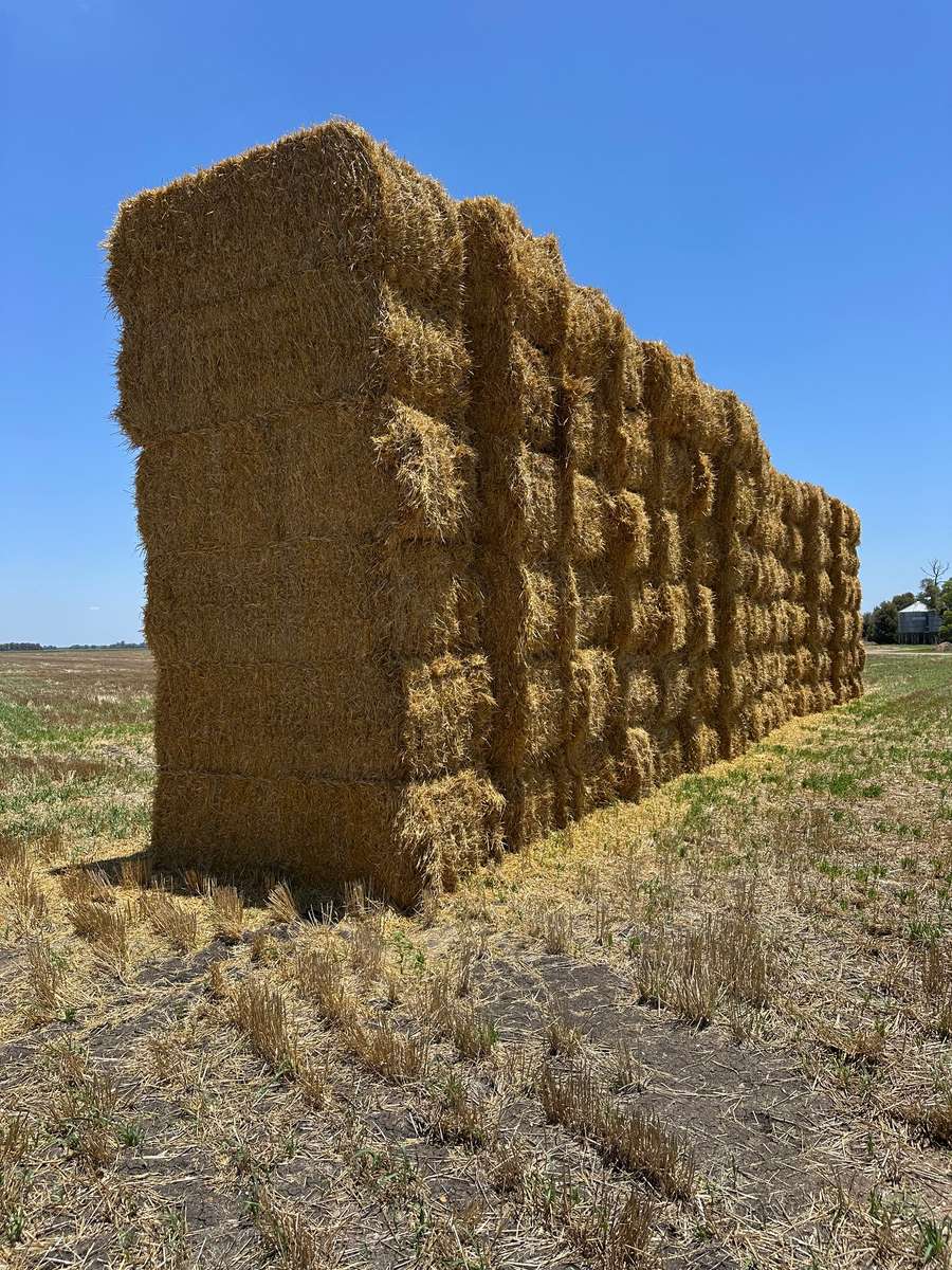 Batch 4990788000205843206 Image