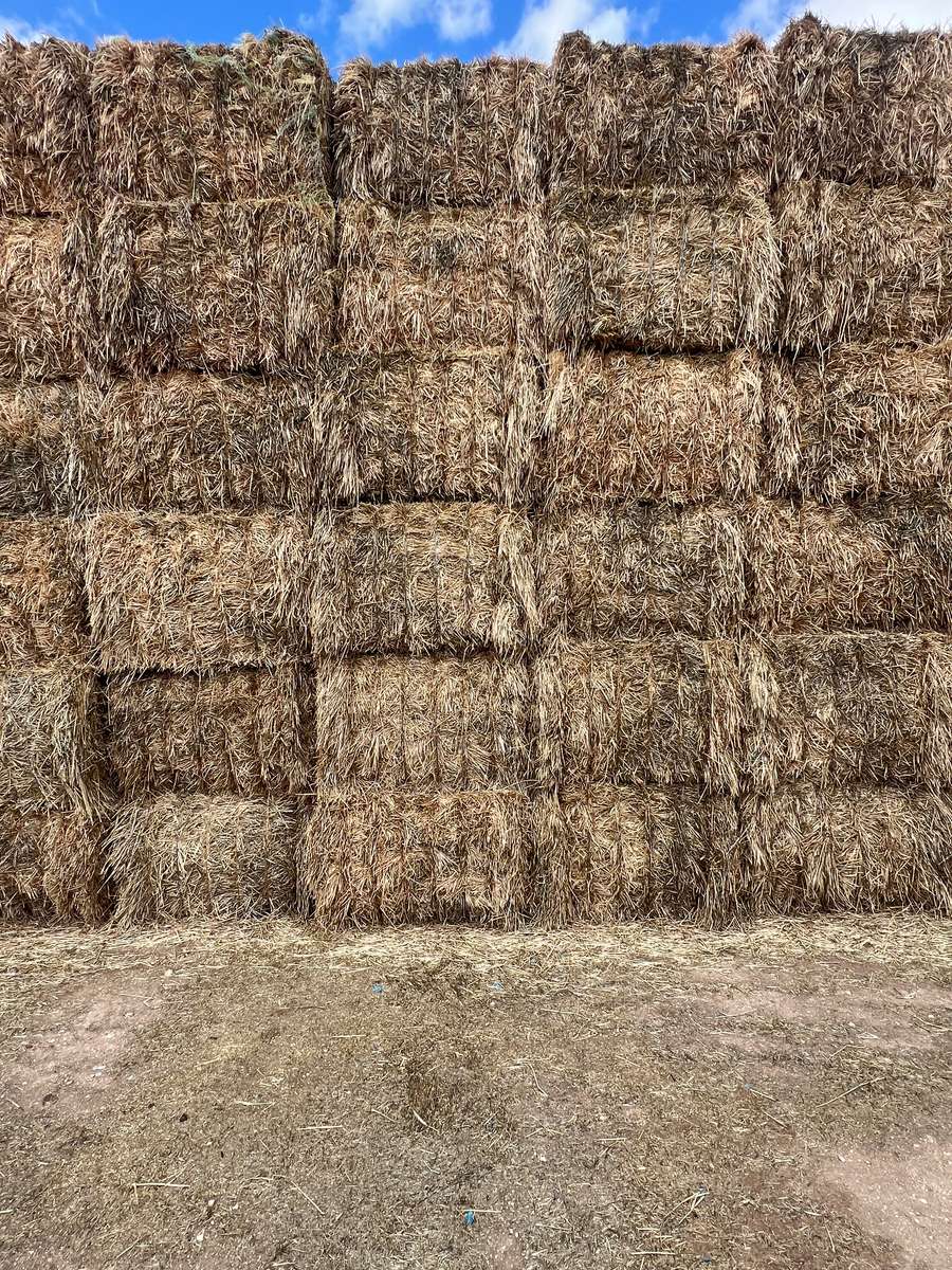 Batch 4990788000207313152 Image