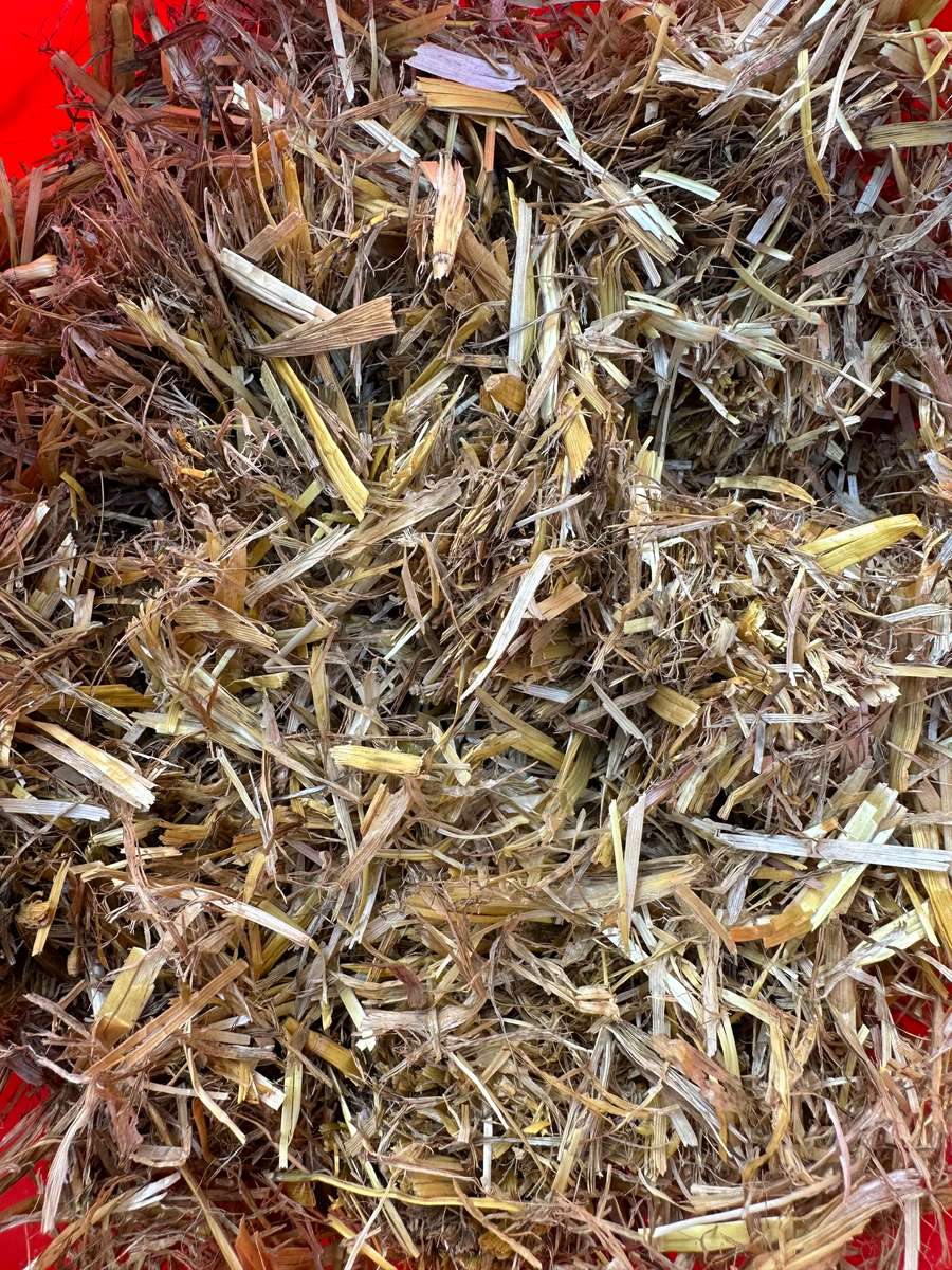 Batch 4990788000205392722 Image