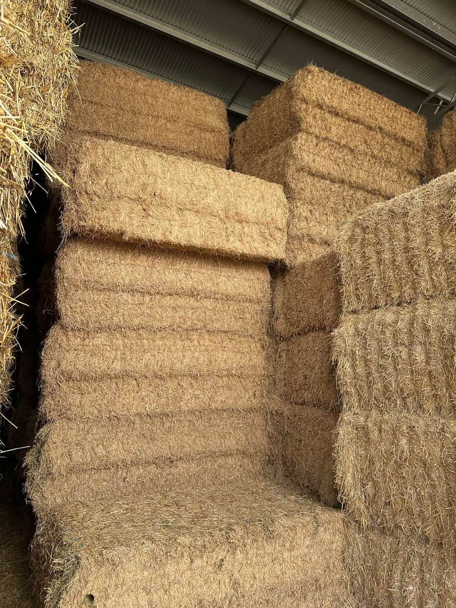 Batch 4990788000207368464 Image