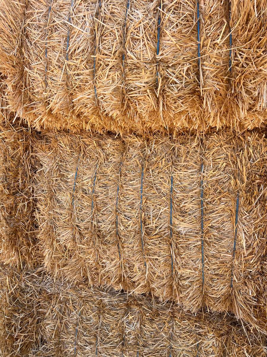 Batch 4990788000208656003 Image