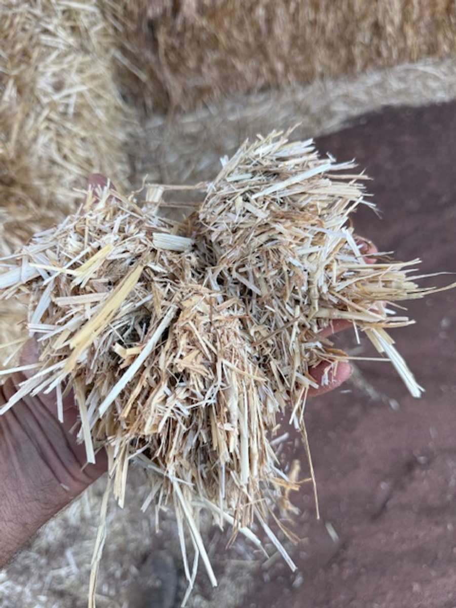 Batch 4990788000207965650 Image