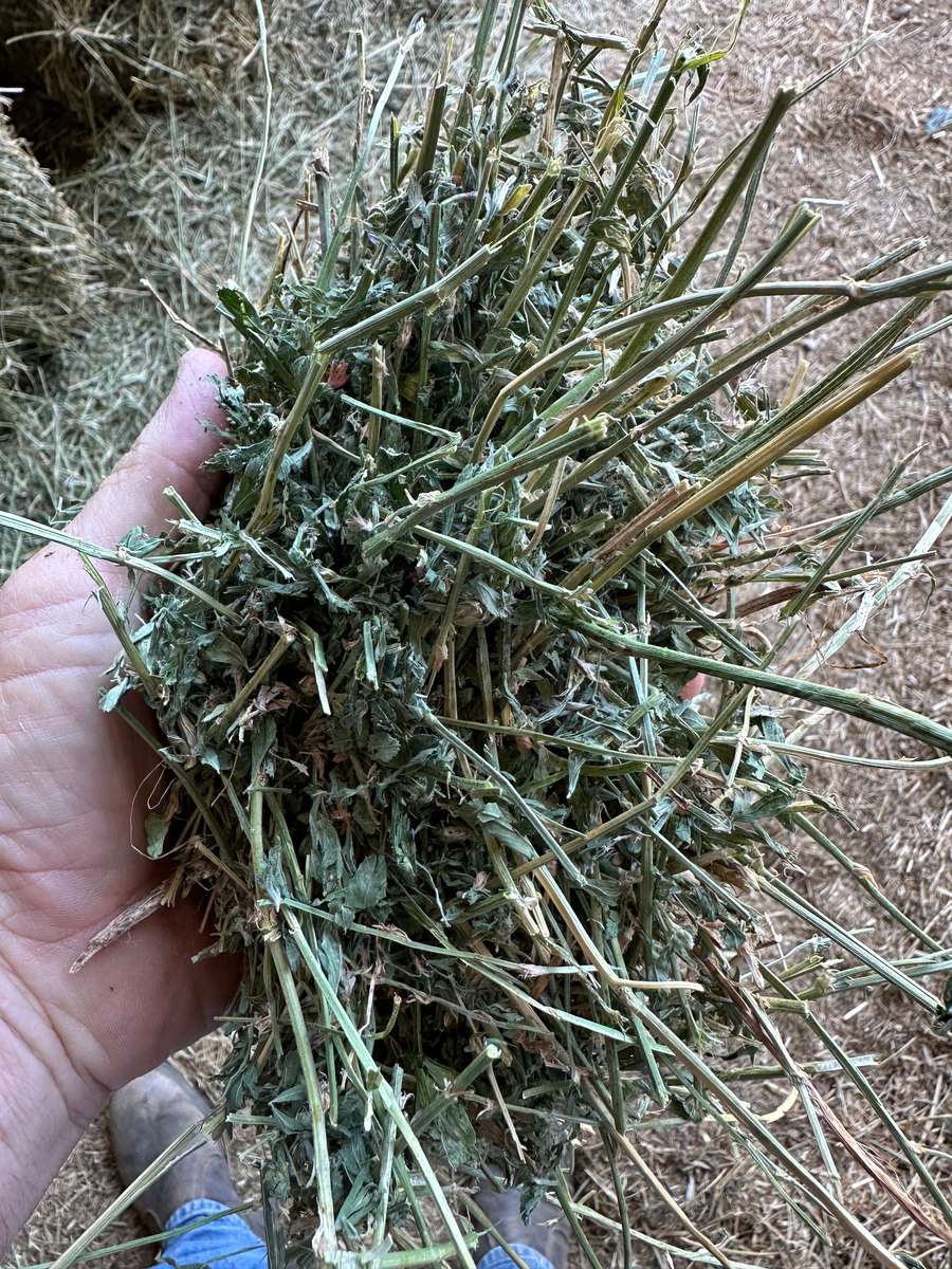 Batch 4990788000205179713 Image