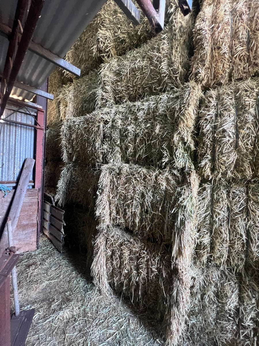 Batch 4990788000207727001 Image