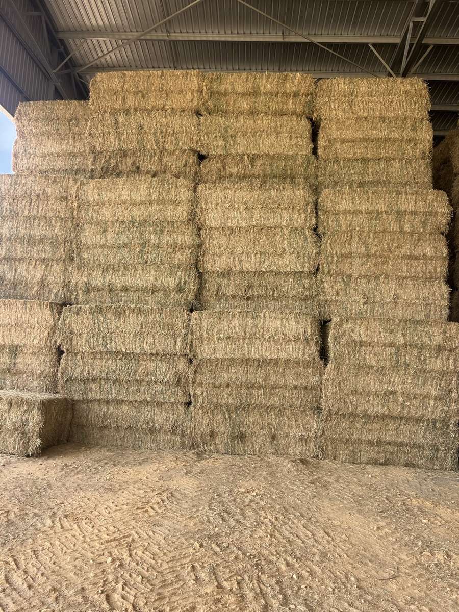 Batch 4990788000202540093 Image