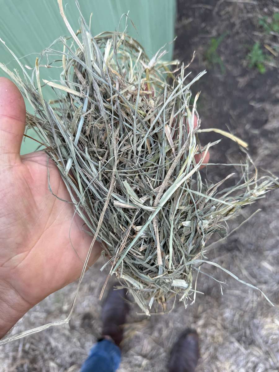 Batch 4990788000206189192 Image