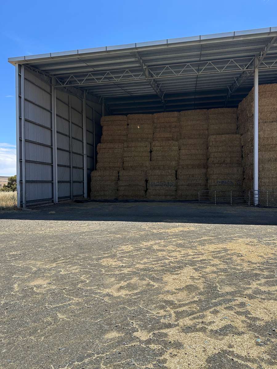 Batch 4990788000207853612 Image