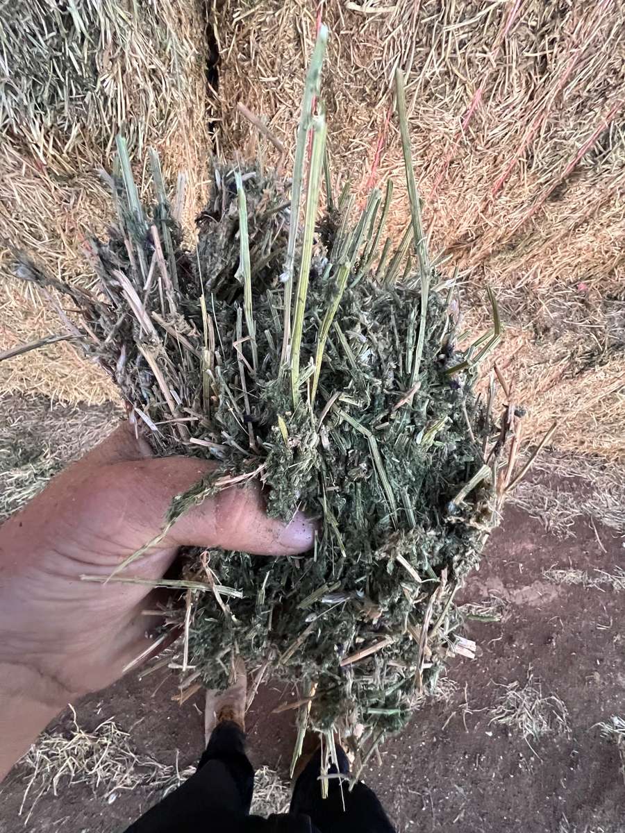 Batch 4990788000204916561 Image