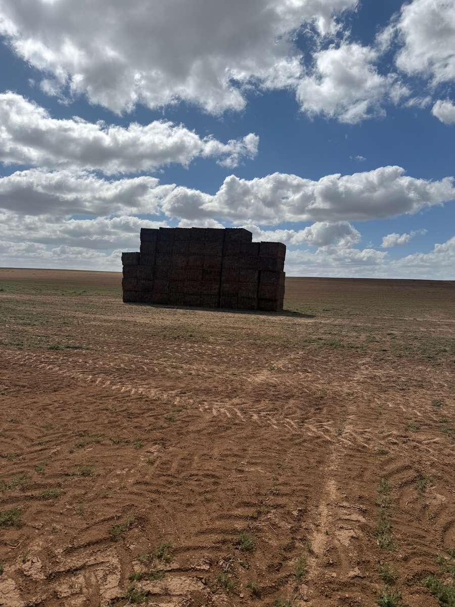 Batch 4990788000199021162 Image