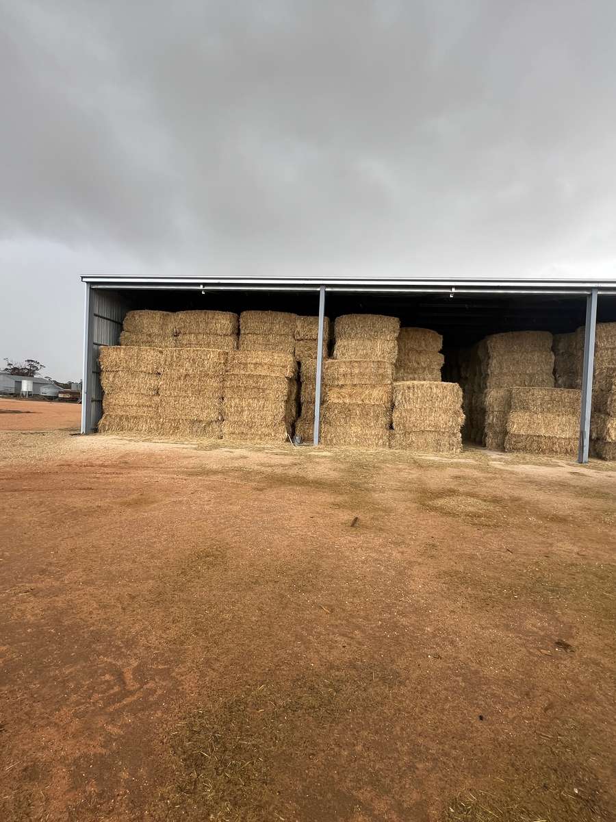 Batch 4990788000207226997 Image