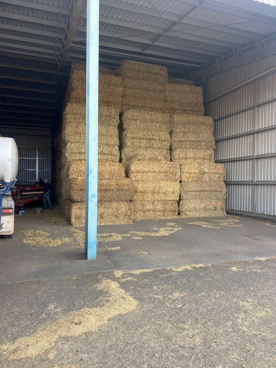 Batch 4990788000207846736 Image