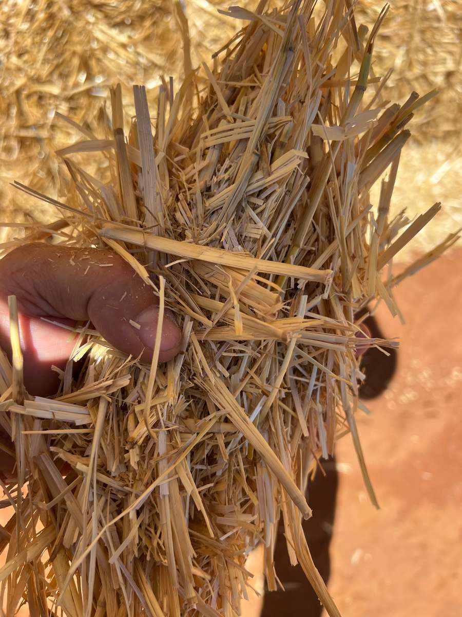 Batch 4990788000208656003 Image