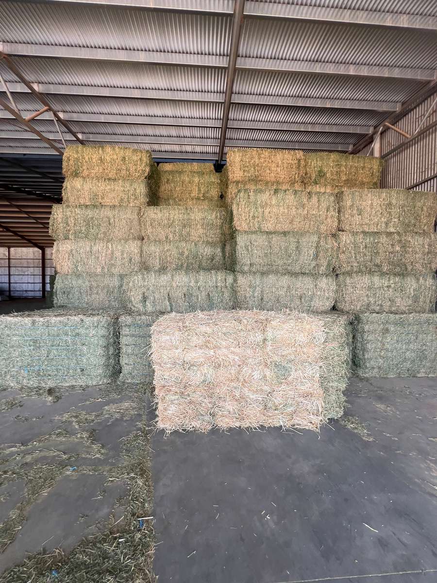 Batch 4990788000205552048 Image