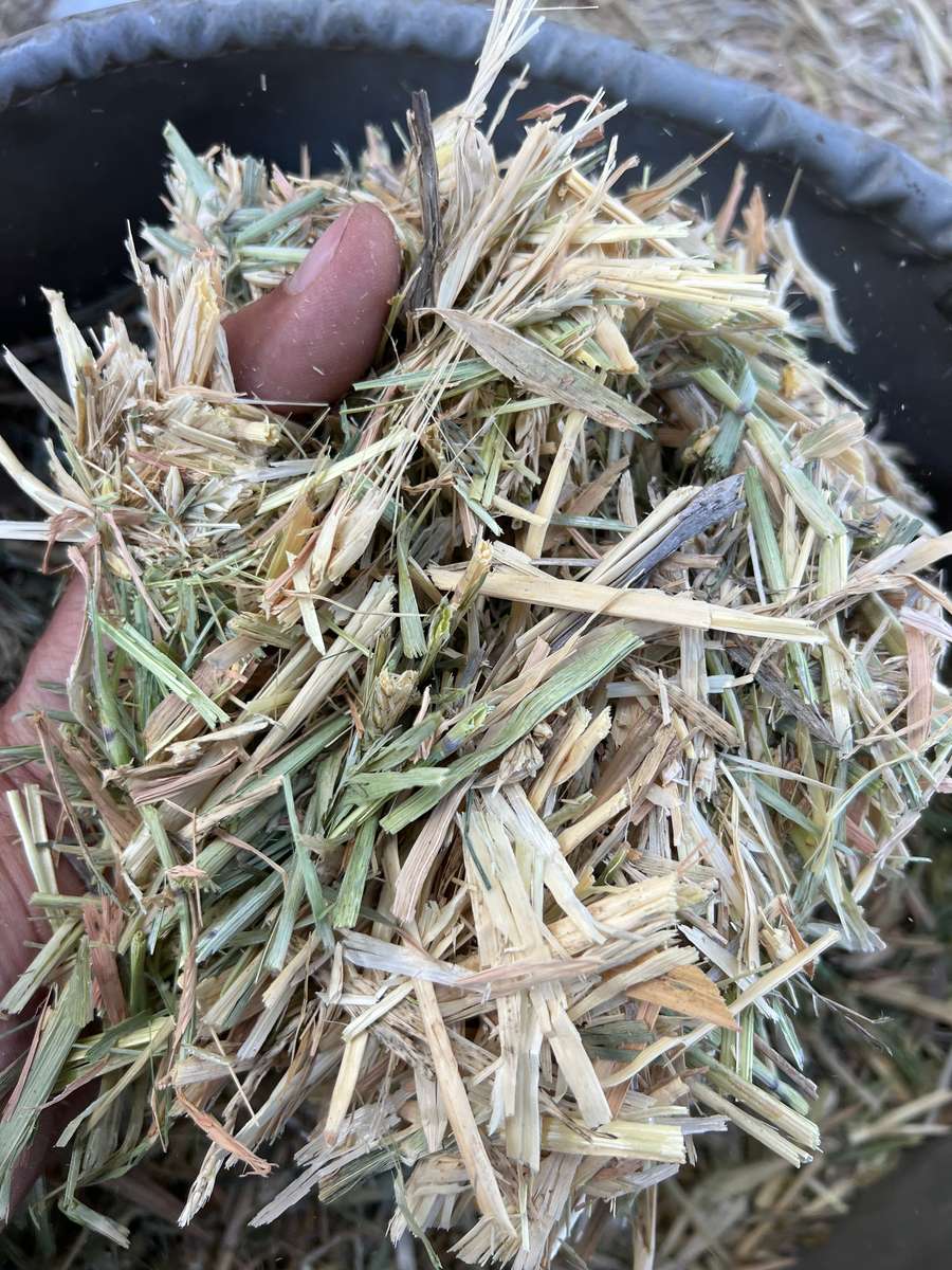 Batch 4990788000204971001 Image