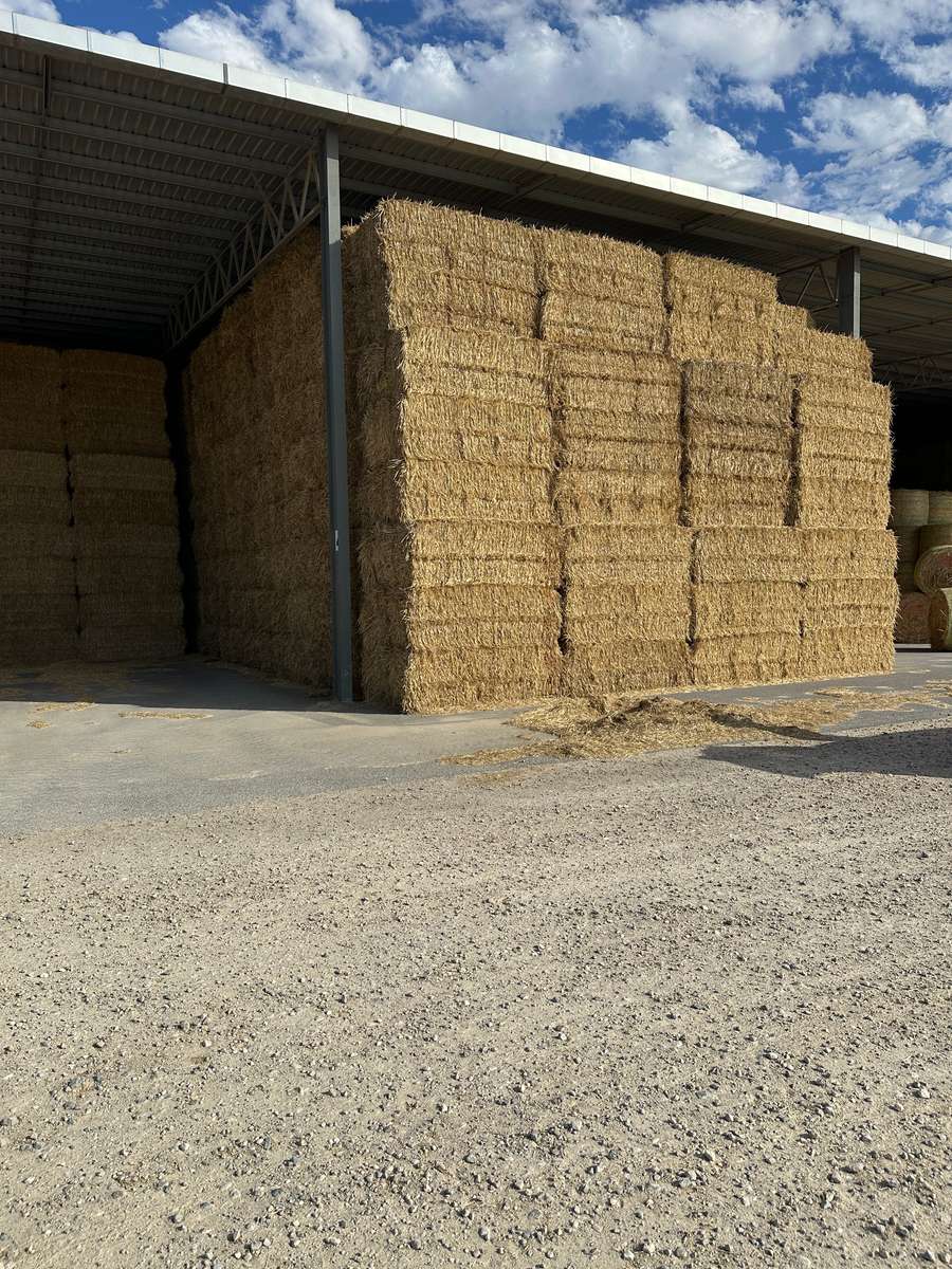 Batch 4990788000207942595 Image