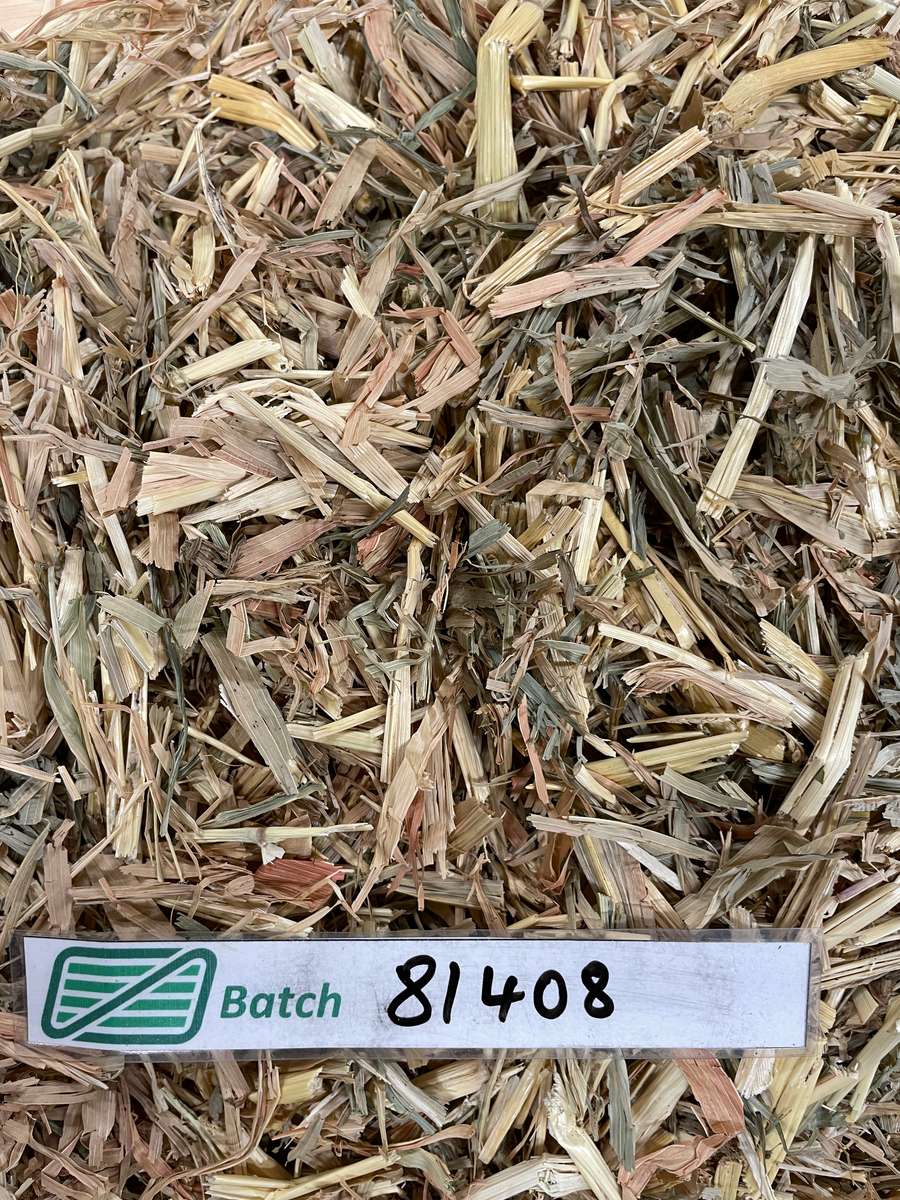 Batch 4990788000212214001 Image