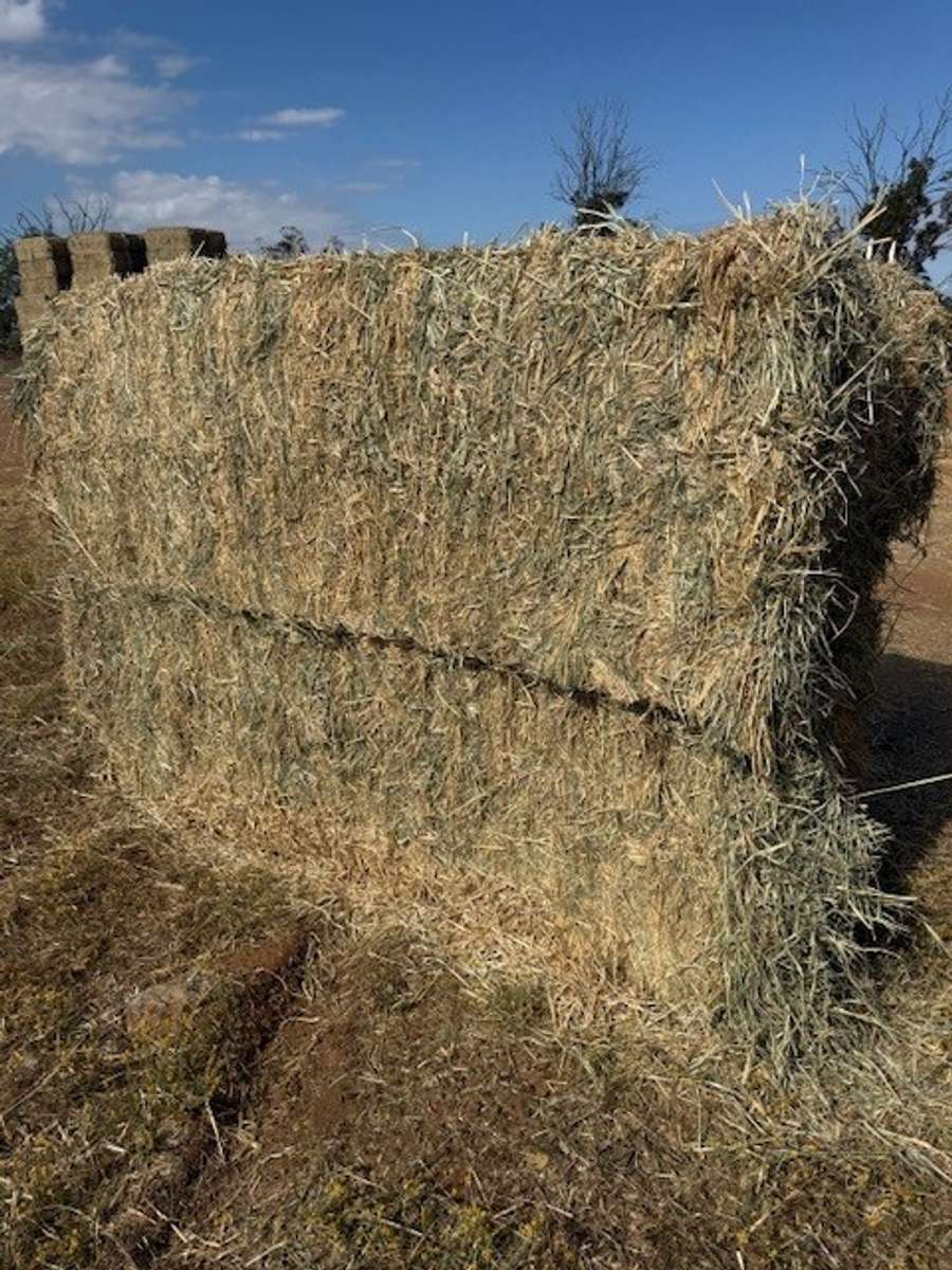 Batch 4990788000210705001 Image