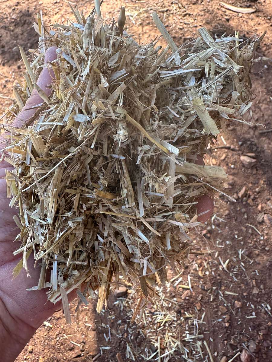 Batch 4990788000212710001 Image